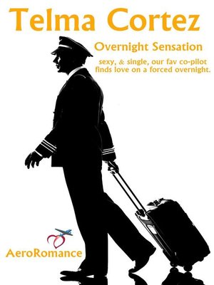 cover image of Overnight Sensation